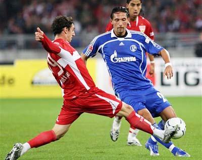 猛龙的这次 猛龙的这次